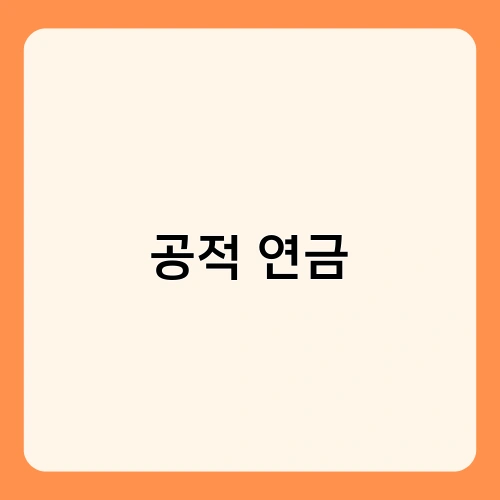 공적 연금 1