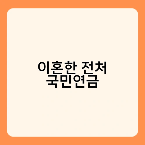 이혼한 전처 국민연금 4