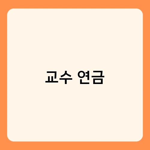 교수 연금 4
