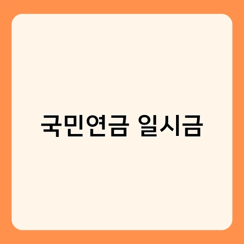 국민연금 일시금 1