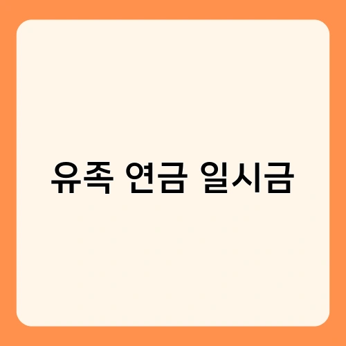 유족 연금 일시금 1