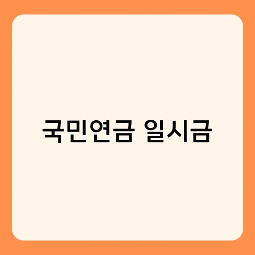 국민연금 일시금 3