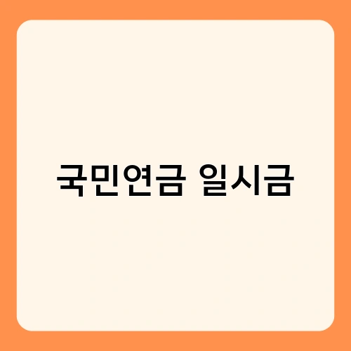 국민연금 일시금 2