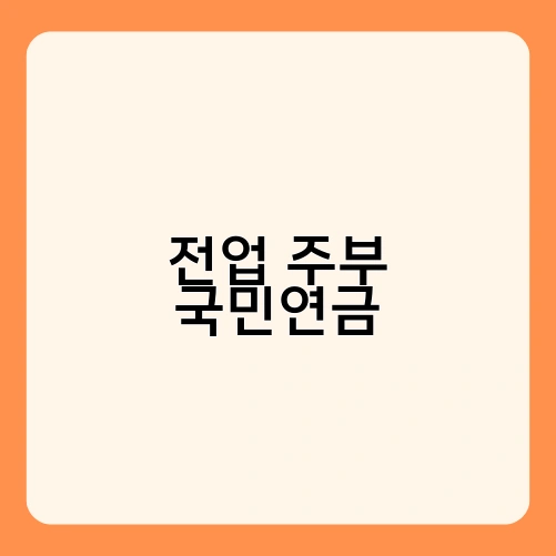 전업 주부 국민연금 4
