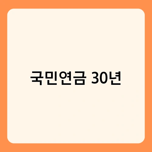 국민연금 30년 1