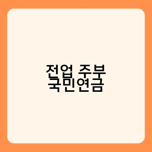 전업 주부 국민연금 2