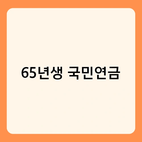 65년생 국민연금