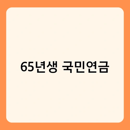 65년생 국민연금 1
