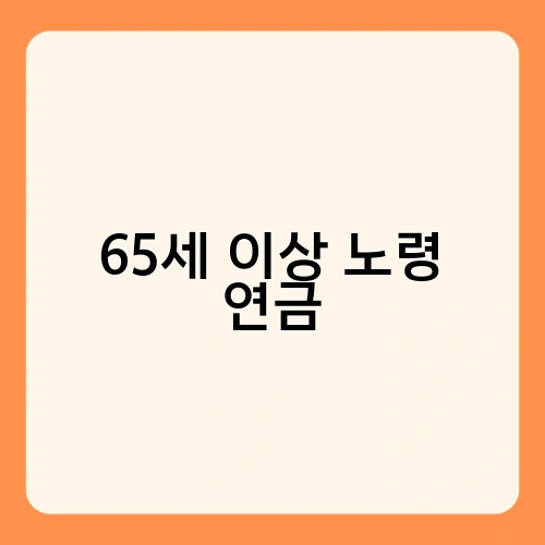 65세 이상 노령 연금 2