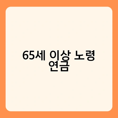 65세 이상 노령 연금 1